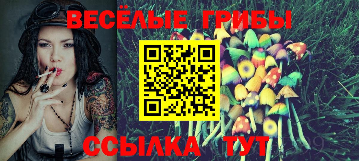 Галлюциногенные грибы Cubensis  Вход с VPN  Коммунар 