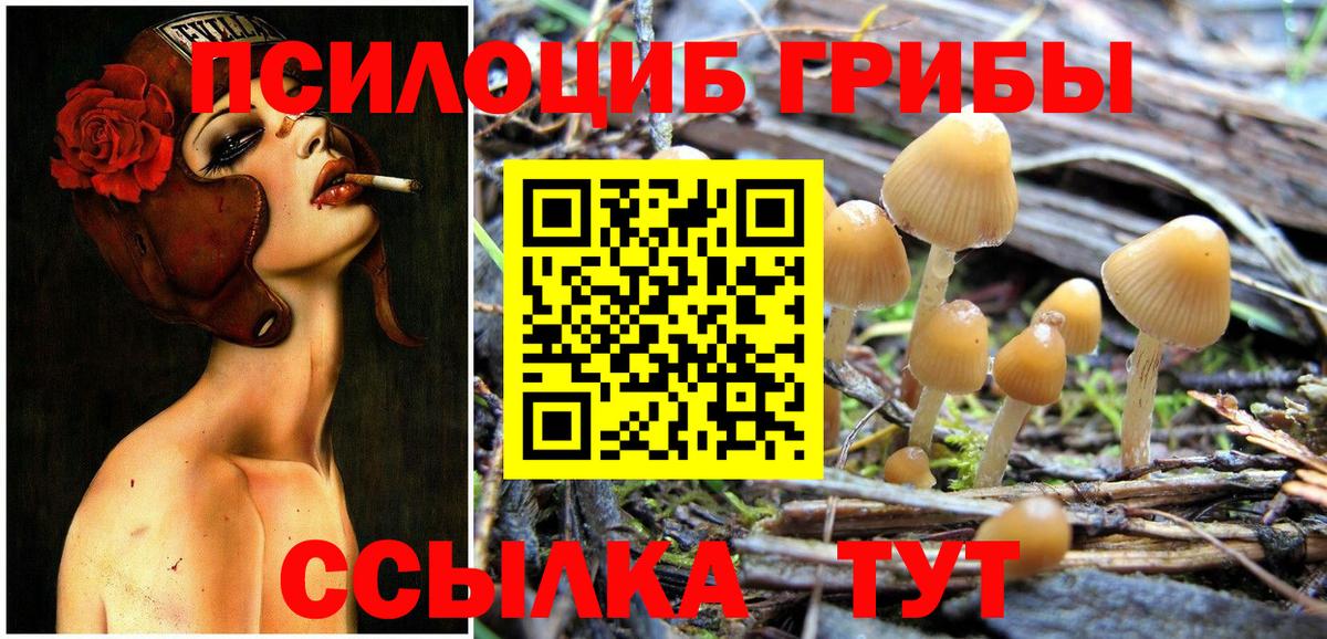 Псилоцибиновые грибы мицелий Коммунар